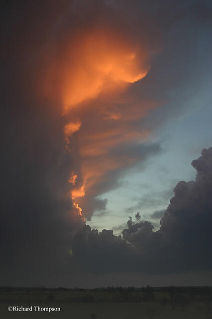 IMG 3444web