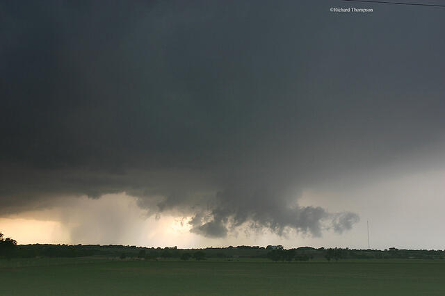IMG 3551web