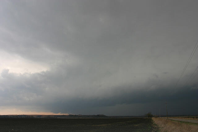 IMG 3498web