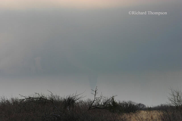 IMG 3516web