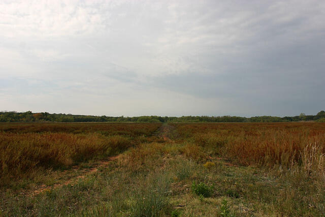 IMG 3644 small