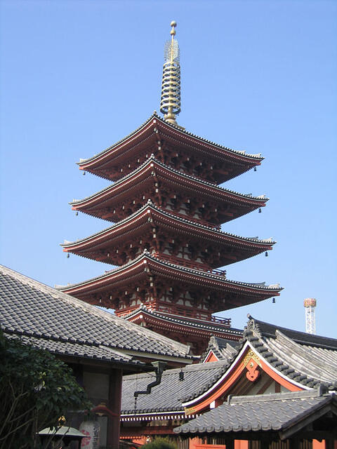 IMG 1937 small