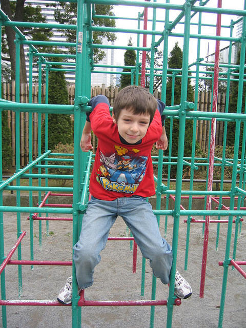 IMG 1981 small