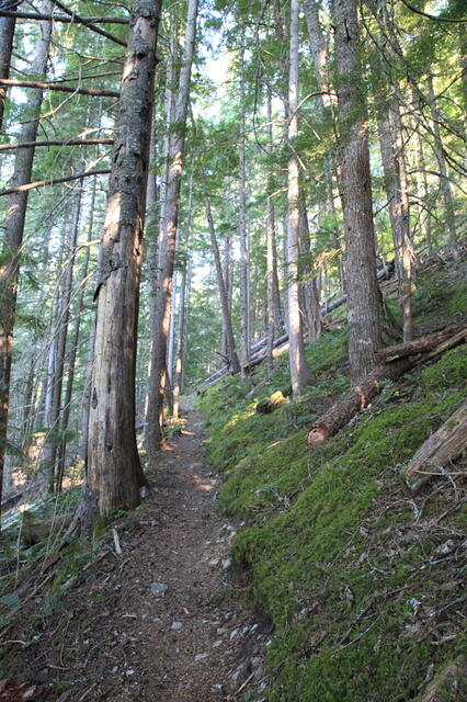 IMG 0292 small