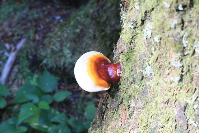 IMG 0429 small