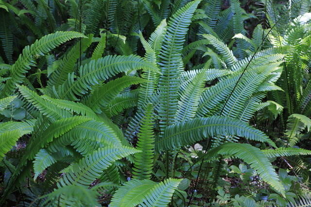 IMG 0430 small