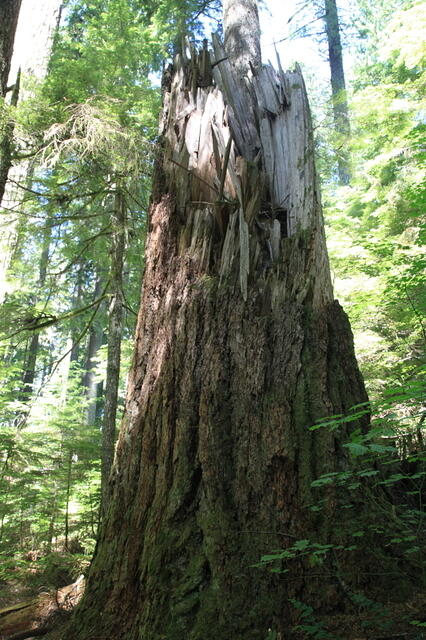 IMG 0434 small