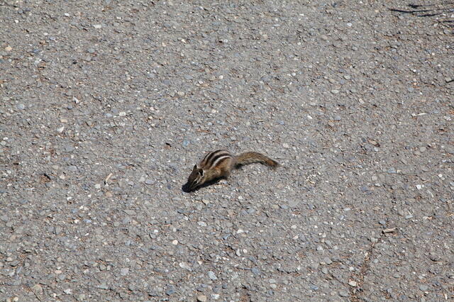 IMG 0505 small