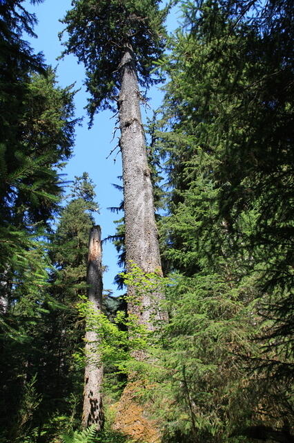 IMG 0576 small - Copy