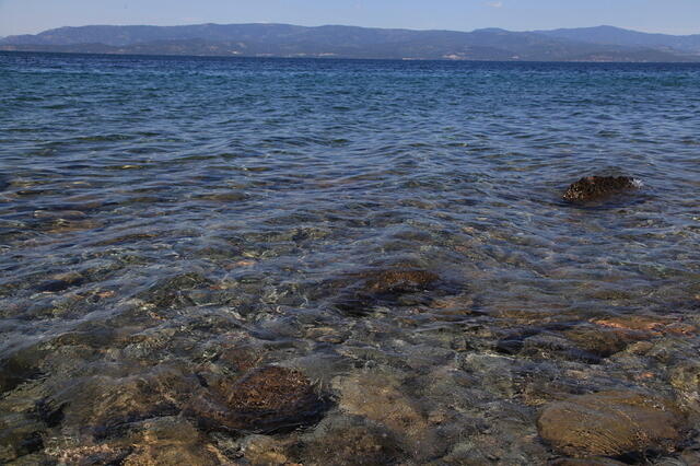 IMG 1066 small