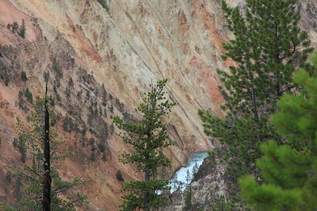 IMG 1499 small