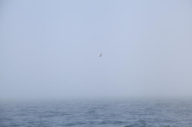 IMG 4779 small