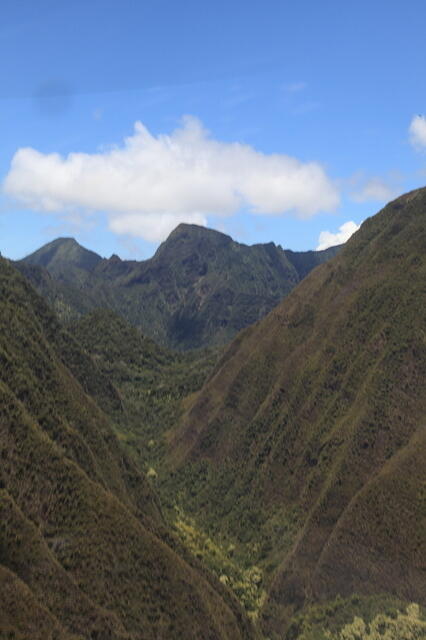 IMG 3648 small