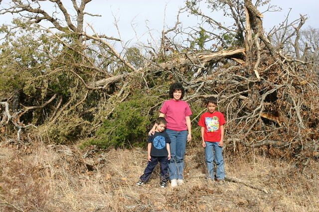 IMG 3453 small