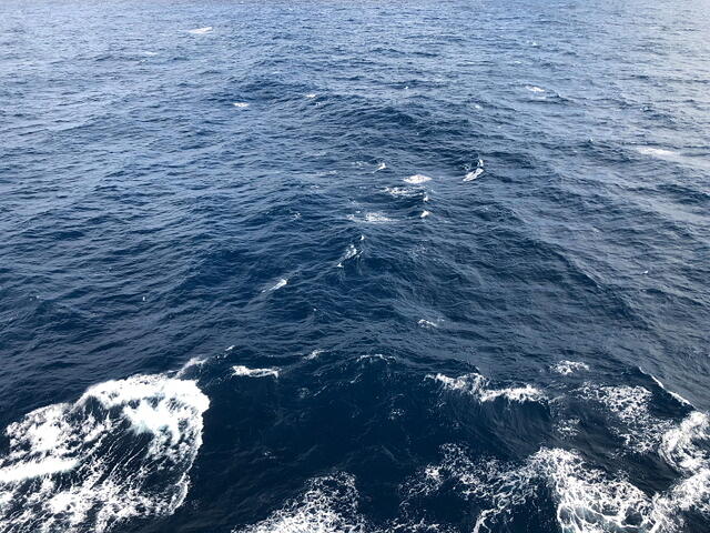 IMG 3545 small