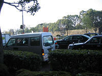 IMG 1913 small