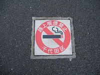 IMG 1918 small