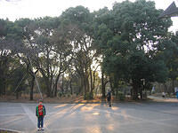 IMG 1967 small