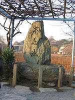 IMG 1971 small