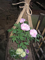 IMG 1975 small
