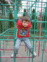 IMG 1981 small