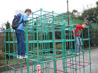 IMG 1982 small