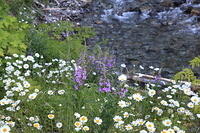 IMG 0295 small