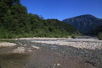 IMG 0335 small