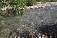 IMG 0336 small