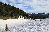 IMG 0373 small