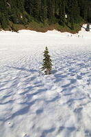 IMG 0374 small