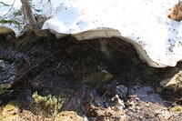 IMG 0377 small