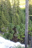 IMG 0393 small
