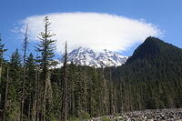 IMG 0420 small