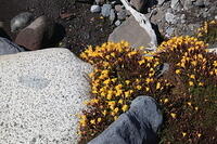 IMG 0423 small