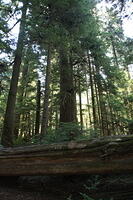 IMG 0427 small