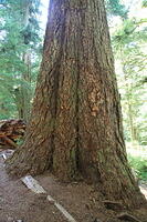 IMG 0428 small