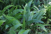 IMG 0430 small