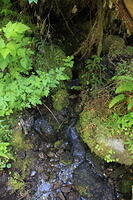 IMG 0431 small