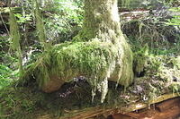 IMG 0432 small