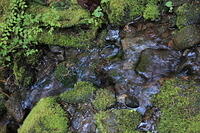 IMG 0433 small