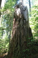 IMG 0434 small