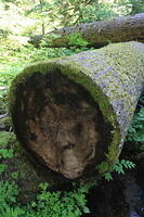 IMG 0435 small