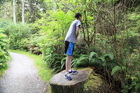 IMG 0437 small