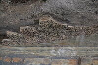 IMG 0445 small