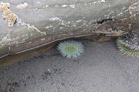 IMG 0450 small