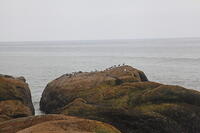 IMG 0460 small