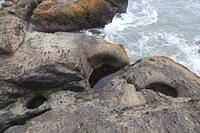 IMG 0466 small
