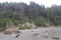 IMG 0468 small
