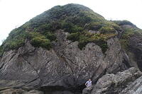 IMG 0471 small